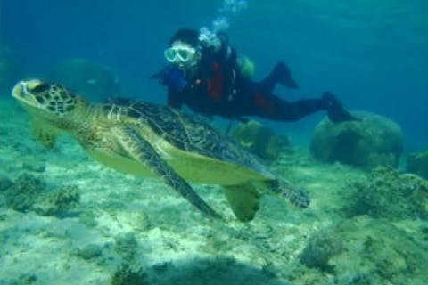 【沖縄・糸満・体験ダイビング】1組貸切・初心者歓迎！ビーチ体験ダイビング！大度浜海岸（ジョン万ビーチ）にて