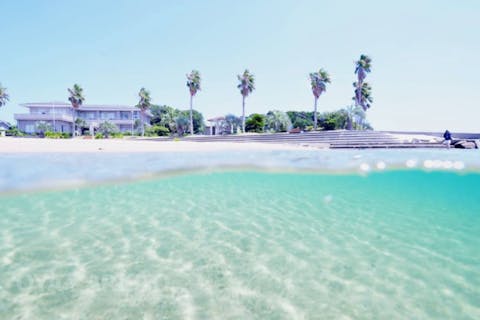 【三重・伊勢志摩・賢島・ファンダイブ】ボートで時短、2ダイブ！イルカに会えるかも（要ライセンス）