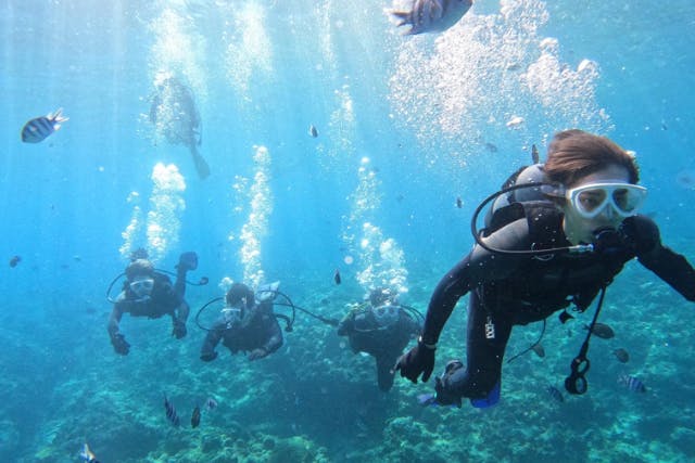＜地域クーポン対応＞【沖縄・体験ダイビング】一組貸切、青の洞窟で初めての体験ダイビング（魚のエサ、写真撮影無料）