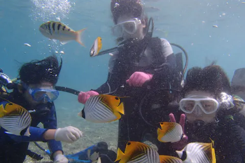 【沖縄・体験ダイビング】一組貸切、8歳からのちびっ子体験ダイビング！お子様と本格海遊び（魚のエサ、写真撮影無料）