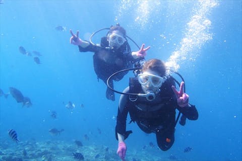 沖縄 美ら海水族館近く お魚いっぱいのゴリラチョップビーチで体験ダイビング 魚のエサ 写真撮影無料 アソビュー