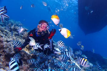 慶良間・クルージング・体験ダイビングツアー】ケラマブルーを味わえる