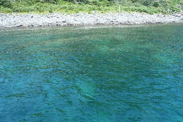 【福井・音海・体験ダイビング】船で天然記念物の島へ！冠島で体験ダイビング（1組限定、2ダイブ）