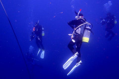 【逗子・ファンダイビング】湘南の人気スポット！逗子2ボートダイビング（横浜駅or熱海駅発）
