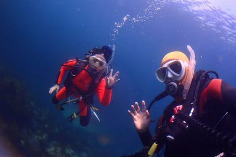 【伊豆・体験ダイビング】初めてのダイビングは、人気ポイントの大瀬崎で！（横浜駅or熱海駅発）