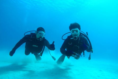 【沖縄・ゴリラチョップ・ファンダイビング・２ダイブ 】高画質な写真＆動画プレゼント！ビーチエントリーでファンダイビング