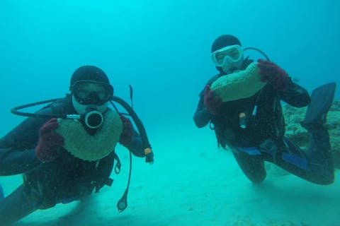 【沖縄・砂辺・水中ポスト・ファンダイビング・２ダイブ】宮城海岸ビーチで、気軽に楽しむファンダイビング！（写真、動画撮影付き）
