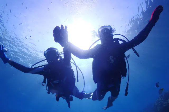 沖縄 青の洞窟 体験ダイビング 1グループ貸切 インスタ映えする写真 動画無料 神秘的な青の洞窟で非日常体験 魚のえさ付き アソビュー