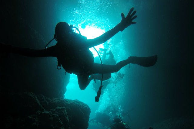 沖縄 青の洞窟 体験ダイビング シュノーケリング 高画質な写真 動画プレゼント お得に両方楽しむよくばりプラン 魚のえさ付き アソビュー