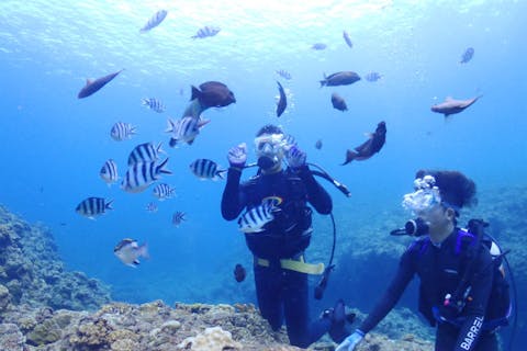 【沖縄・青の洞窟・体験ダイビング＆シュノーケリング】高画質な写真・動画プレゼント！お得に両方楽しむよくばりプラン（魚のえさ付き）