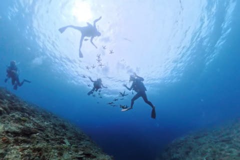 水納島・瀬底島【沖縄・北部・体験ダイビング】混雑皆無の極上ポイント！最新カメラ機種撮影無制限込み込み！魅惑の島へ！初めての方大歓迎！安心、安全1グループにベテランガイド貸切