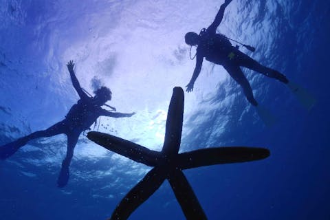 【沖縄・北部・体験ダイビング】＜沖縄本島北部・水納島・瀬底島＞半日お得に2ダイブプラン！初心者の方も大歓迎！1グループにベテランガイド貸切ご案内！写真、動画撮影無制限付き