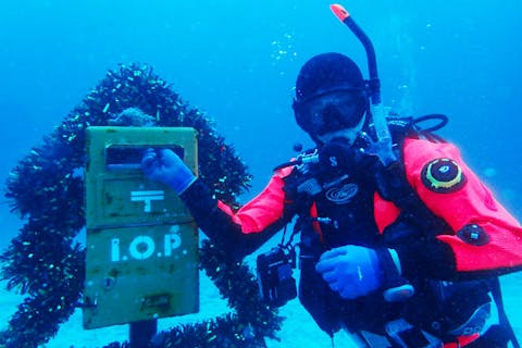 【静岡・伊東市・ファンダイビング】四季のある海を満喫！伊豆海洋公園・2ビーチダイビング