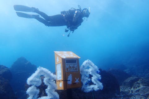 【静岡・伊東市・ファンダイビング】もう一度ダイビングを始めよう！リフレッシュダイビング