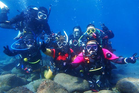 【静岡・伊東市・体験ダイビング】世界的に有名な伊豆海洋公園で、体験ダイビング！