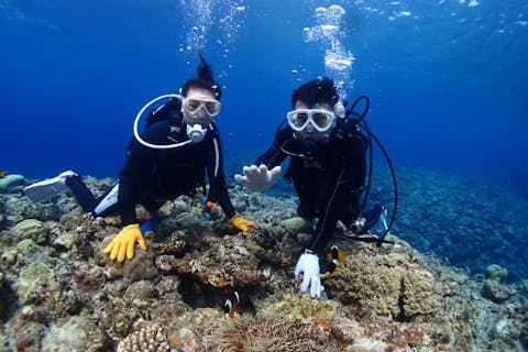 【沖縄・宮古島・体験ダイビング】ガイドが付きっきりでサポートします！体験ダイビング（1ボート）
