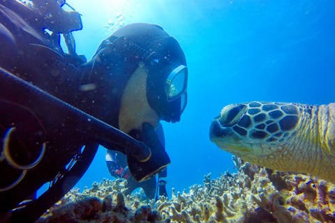 【石垣島・ファンダイビング】リクエスト最優先！レンタル器材無料！少人数で癒しのダイビング