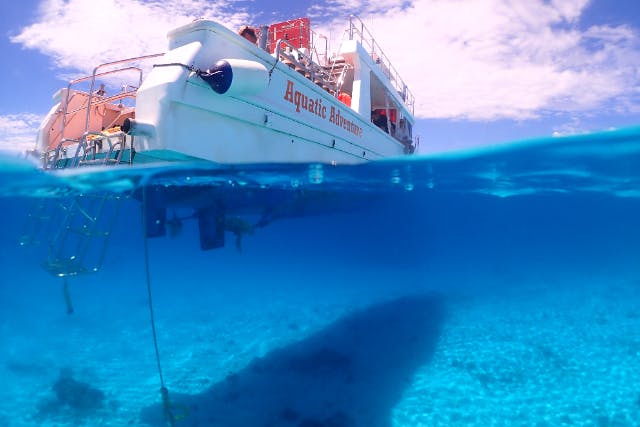 【沖縄・宮古島・ファンダイビング】ボートで3ダイビング！魅力あふれるダイナミックな地形（ライセンス必須）