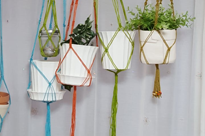 大阪市 手作り雑貨 植物を吊るして鑑賞 プランツハンギング アソビュー 大阪市 手作り雑貨 植物を吊るして鑑賞 プランツハンギング アソビュー