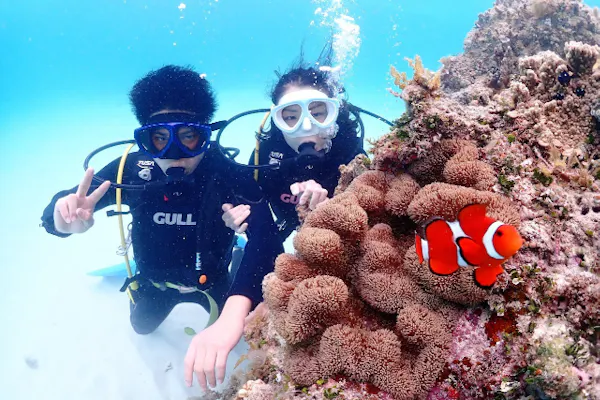 海遊び ネジ｜ネット予約ならアソビュー！