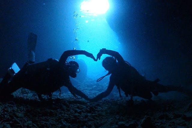 Ko'a and PuPu コア＆ププの割引プラン