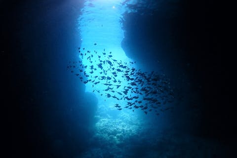 【沖縄・体験ダイビング】青の洞窟体験ダイビングコース！オプション料金一切なし！