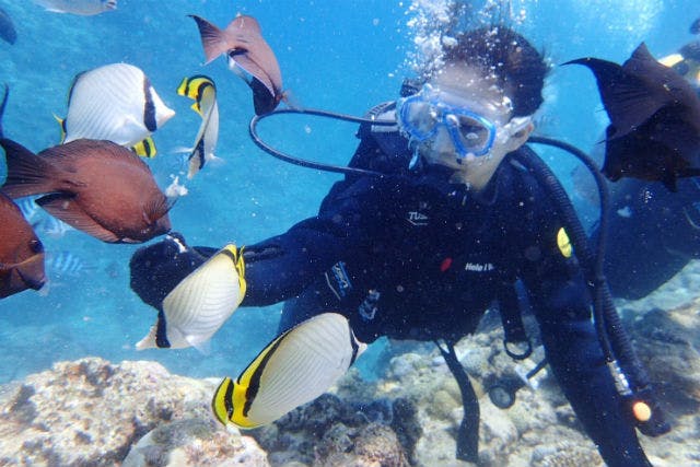 【沖縄・嘉手納・ダイビング】青の洞窟+サンゴ礁の2ダイブ！体験ダイビング