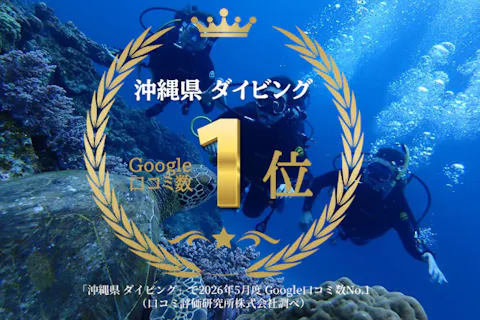 Google口コミ数第1位！【那覇発・半日・慶良間諸島】海ガメに逢える!?カメラレンタル付！沖縄屈指の透明度！初心者向け！安心体験ダイビング（1回）