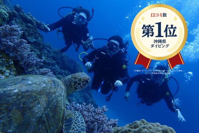 【沖縄・慶良間・体験ダイビング】海ガメに逢える！？レンタルカメラ無料！国立指定公園、慶良間諸島半日体験ダイビング！（ダイビング1回）Google口コミ数第1位！