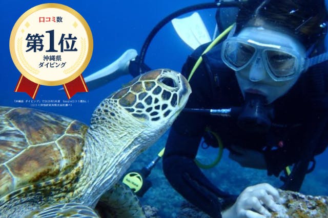 【沖縄・慶良間・体験ダイビング】海がめに逢える！？カメラレンタル無料！国立指定公園、慶良間諸島半日体験ダイビング！（ダイビング2回）Google口コミ数第1位！