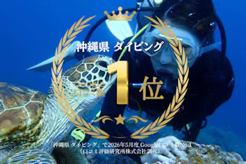 Google口コミ数第1位！【那覇発・半日・慶良間諸島】1名様専用！海ガメ