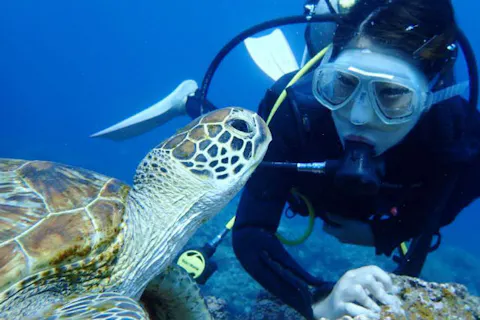 Google口コミ数第1位！【那覇発・半日・慶良間諸島】1名様専用！海ガメ遭遇率大!カメラレンタル付！初心者向け安心体験ダイビング！（2回コース）