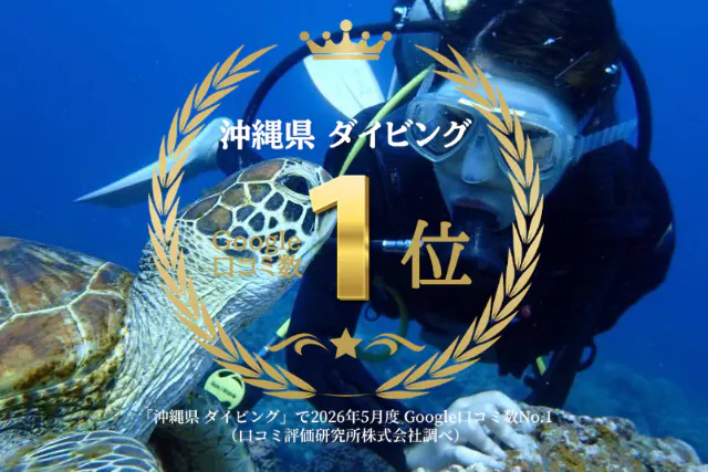 【那覇発・慶良間】初心者専門！海ガメに逢える？体験ダイビング２回｜カメラレンタル付｜2025年4月Google口コミ数「沖縄ダイビング」第１位１名様専用