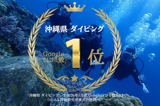 【那覇発・慶良間】初心者専門！海ガメに逢える!?体験ダイビング｜カメラレンタル付｜2025年4月Google口コミ数「沖縄ダイビング」第１位