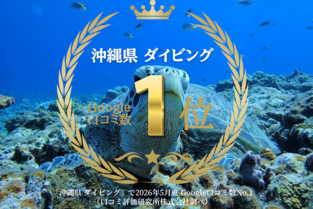 【那覇発・慶良間】初心者専門！海ガメに逢える!?体験ダイビング｜カメラ付き｜2025年4月Google口コミ数「沖縄ダイビング」１位｜４名様以上でお得なグループ割！
