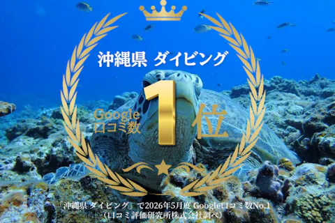 Google口コミ数第1位！【沖縄・慶良間・体験ダイビング】海ガメに逢える！？レンタルカメラ無料！国立指定公園、慶良間諸島半日体験ダイビング（ダイビング1回）4名以上でお得なグループ割プラン！