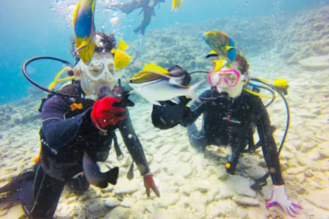 【体験ダイビング・沖縄美ら海】初心者でも魚と遊べる！優しいサポートと無料撮影付き♪