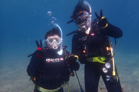 沼津・三島の体験ダイビング おすすめランキングTOP6