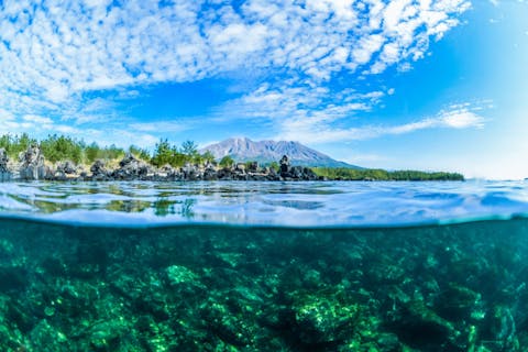 【九州・鹿児島・ファンダイビング】活火山、桜島の麓！他の海では見られない特殊な環境の海で2ビーチファンダイビング・錦江湾（ライセンス所持者）