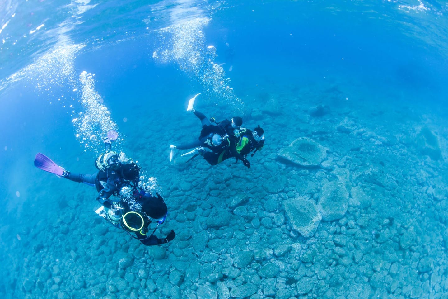 鹿児島市 体験ダイビング カラフルな熱帯魚に会える アットホームで笑顔溢れるスタッフと体験ダイビング 女性スタッフ在中 アソビュー