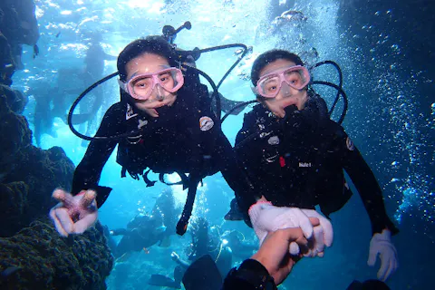 沖縄 恩納村発 沖縄3大アクティビティ全部体験 店舗貸切ボートで青の洞窟体験ダイビング 絶景パラセーリング 絶叫ウォータートイ アソビュー