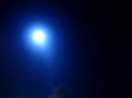 【手ぶらでOK】写真付き！満点な星空と、夜に輝く・水中のプラネタリュウム体験！ タオル、温水シャワー、着替えルーム、ドライヤー等アメニティー各種無料！初心者歓迎！ファミリー、カップルにも、オススメです