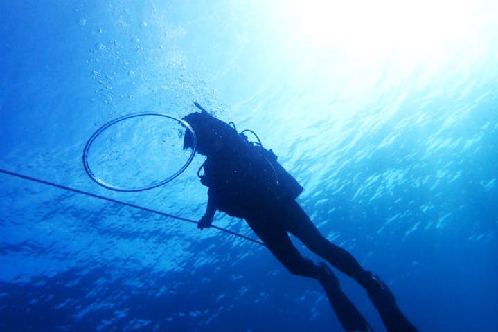 SUPERNATURAL（スーパーナチュラル）