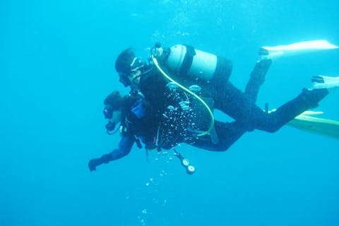 【宮崎・日南・ダイビング】熱帯魚や大物の魚も！ボート体験ダイビング