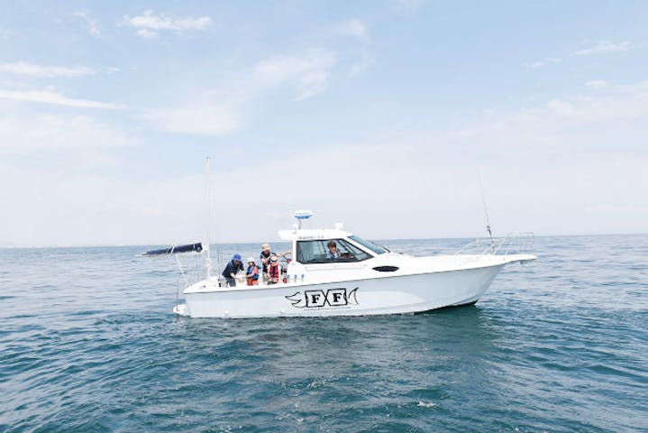 兵庫 西宮 海釣り 釣りたての魚が味わえる ボート貸し切りの海釣り体験 平日限定 アソビュー