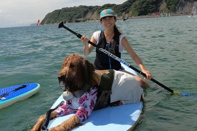 神奈川・逗子・DOGSUP】愛犬と海上散歩・愛犬と自然を満喫できる