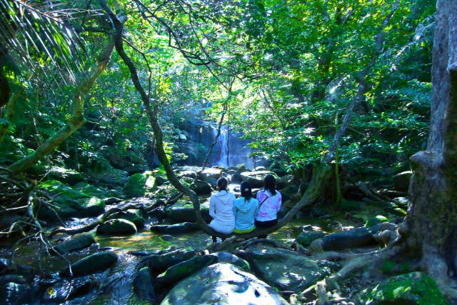 【滝トレ＋竹富2島めぐり】西表島滝トレッキング（またはキャニオニング）＋選べる竹富島観光＜乗船券／ランチ付／E-1T＞