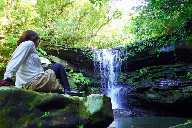 半日滝トレツアー】E-2T 西表島滝トレッキング(またはキャニオニング)＜乗船券／ランチ付／E-2C＞