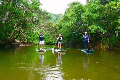 【SUP＋竹富2島めぐり】西表島マングローブSUP＋選べる竹富島観光＜乗船券／ランチ付／E-1S＞