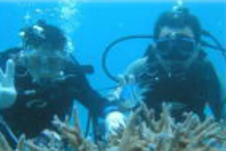 Sea Trip シートリップ ダイビングサービス ネット予約ならアソビュー